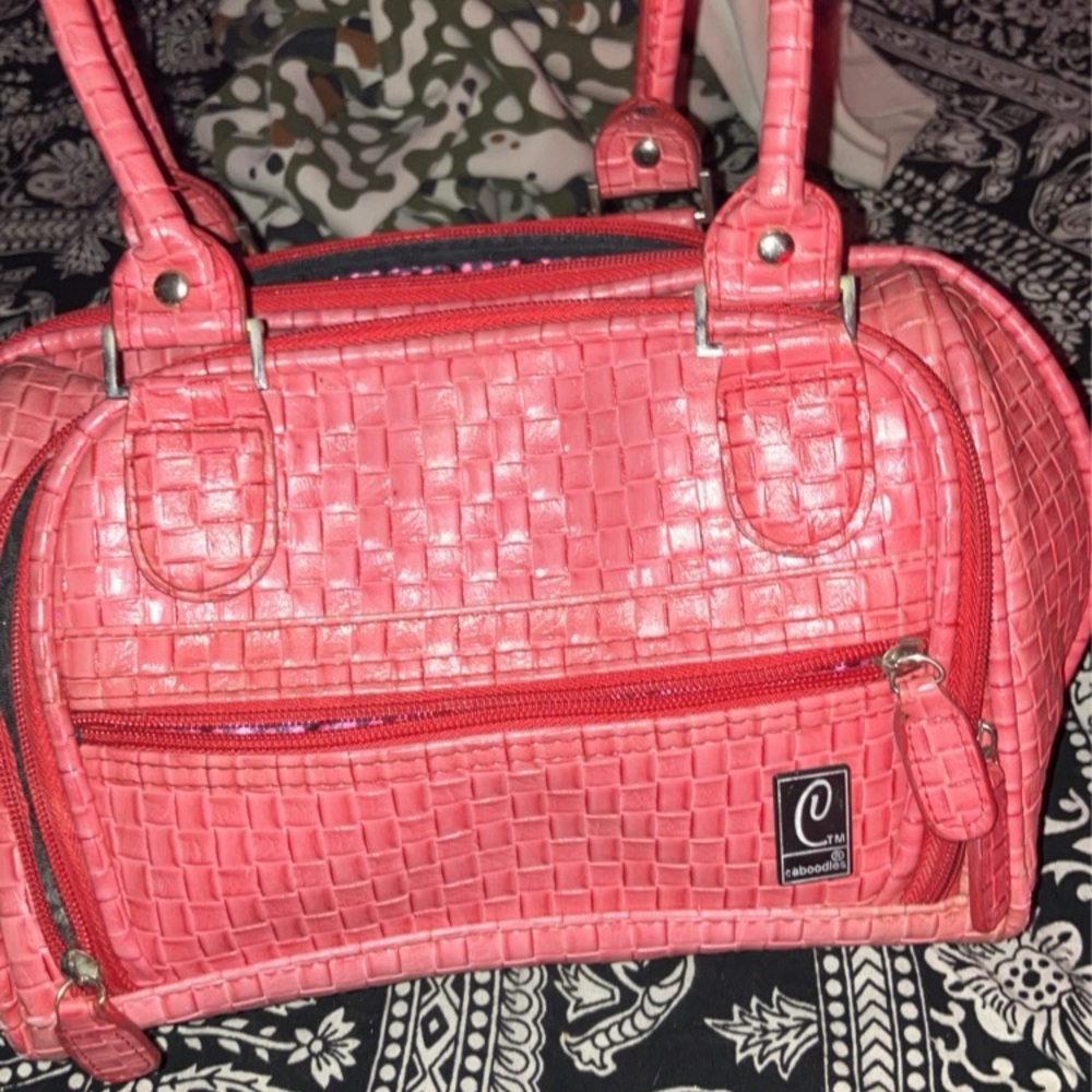 Caboodles purse/ dog carrier